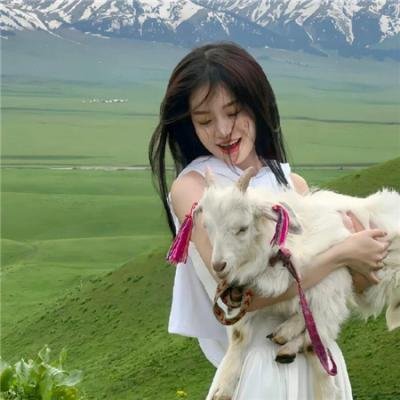 犹为离人照落花