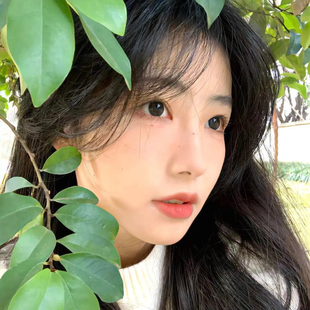 真爱如血第三季